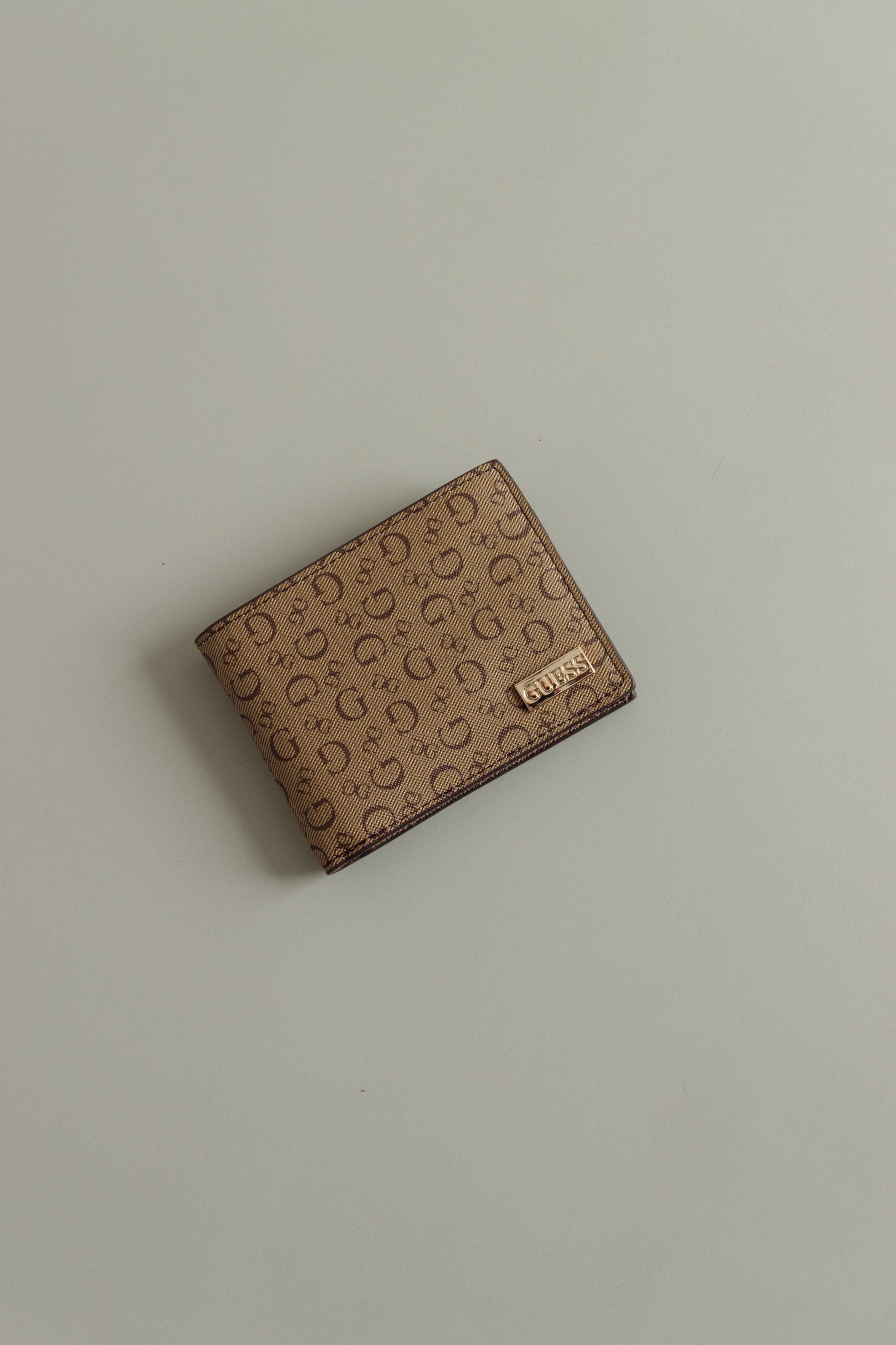 CARTERA GUESS